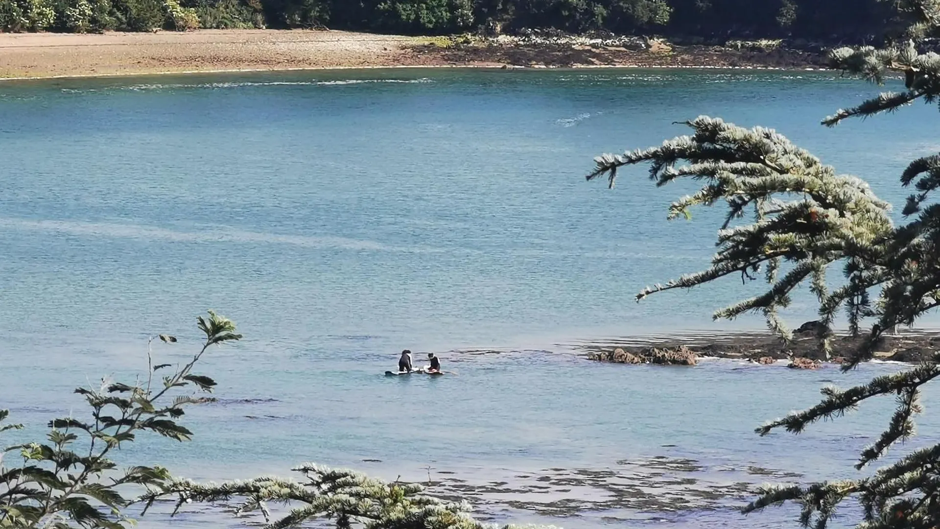 Appartement Les Pieds Dans L'Eau à Saint-Malo