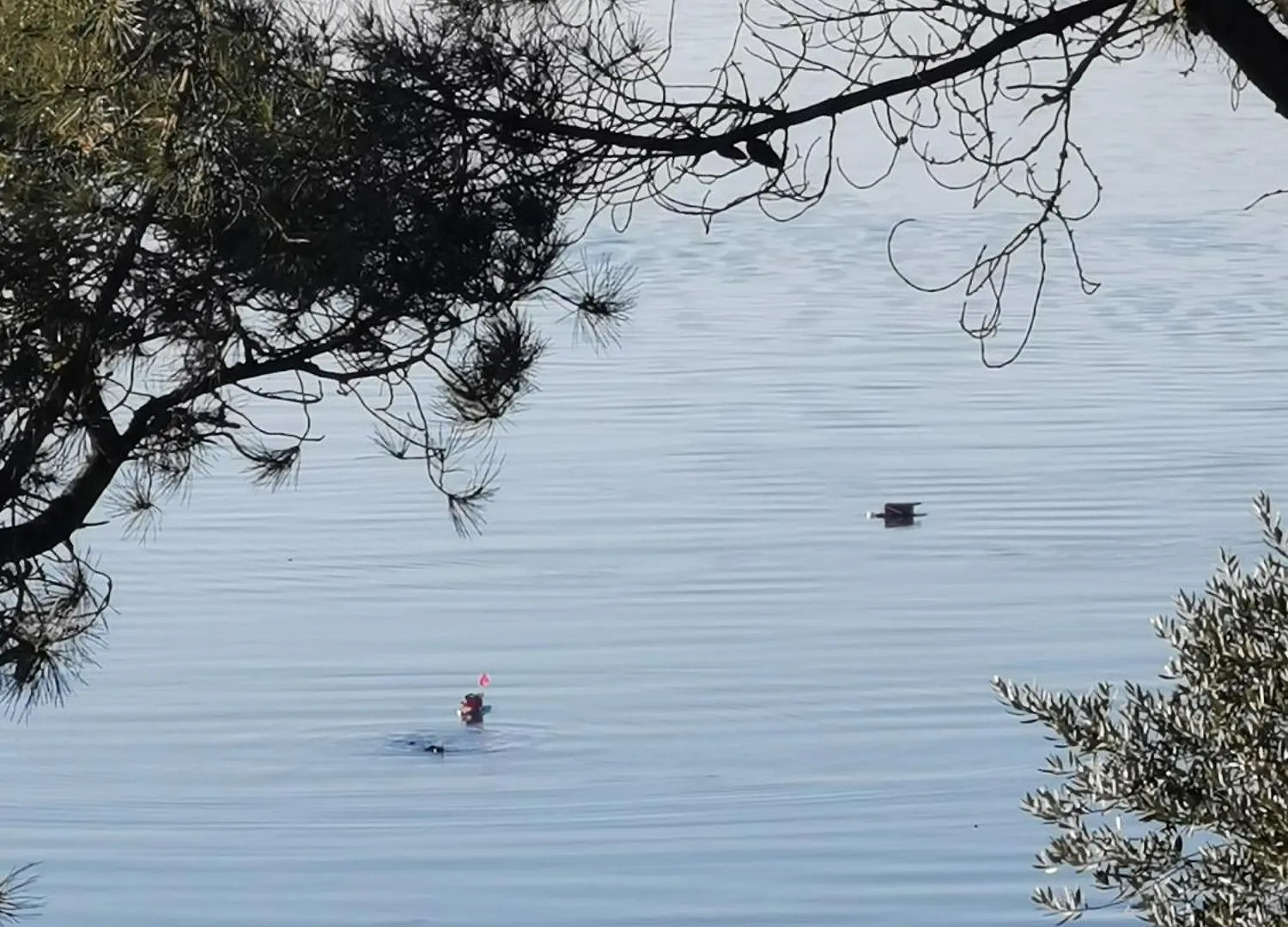 Homestay Les Pieds Dans L'Eau Apartment Saint-Malo